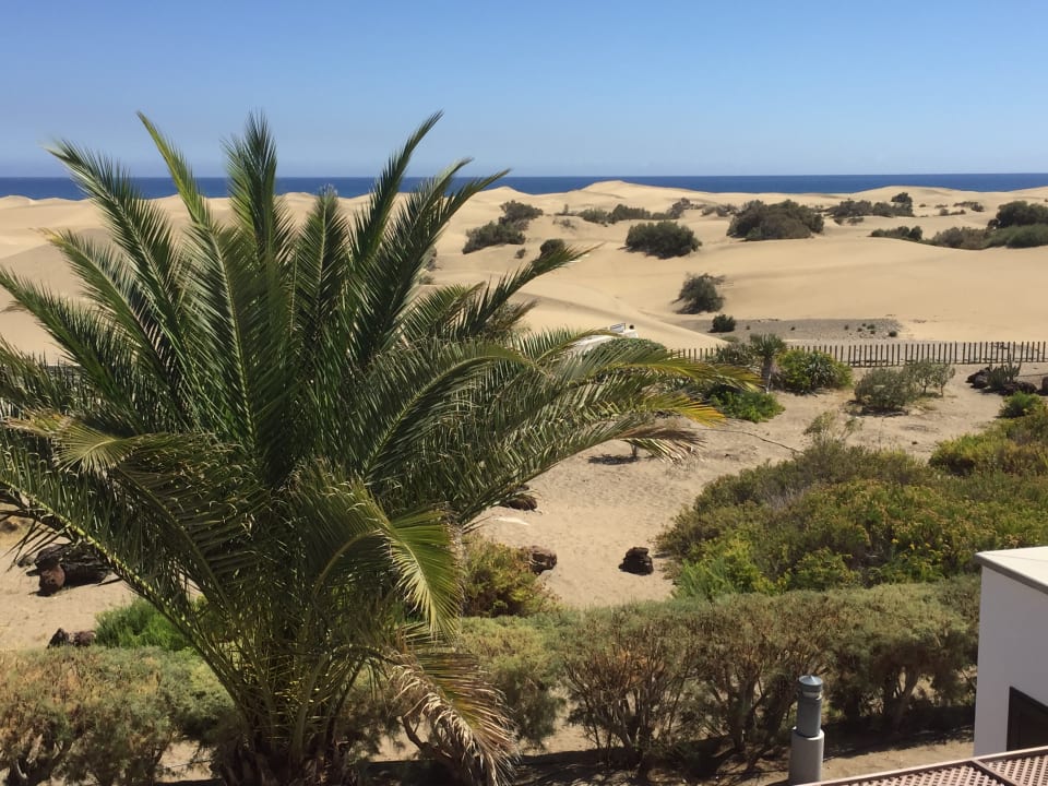 Außenansicht Hotel Riu Palace Maspalomas Adults Only