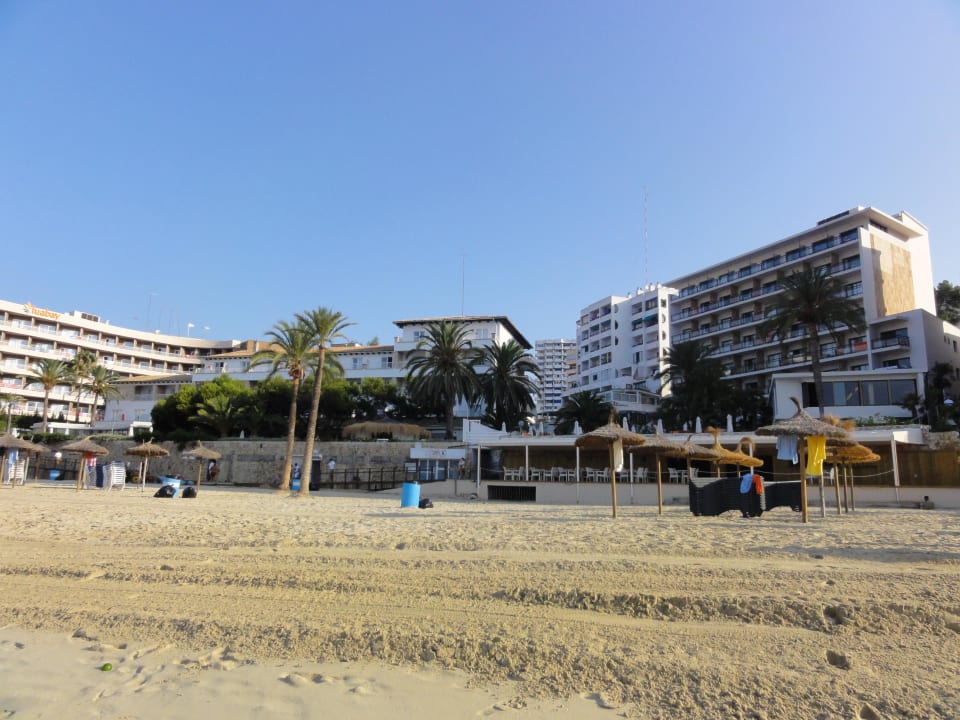 Morgens halb neun auf Mallorca Be Live Marivent - Adults only