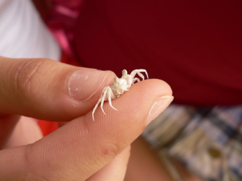 In der Hand Embudu Village