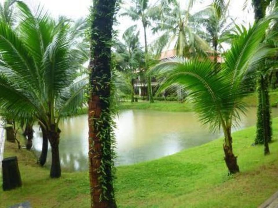 Teich sehr voll wegen Regen Khaolak Laguna Resort