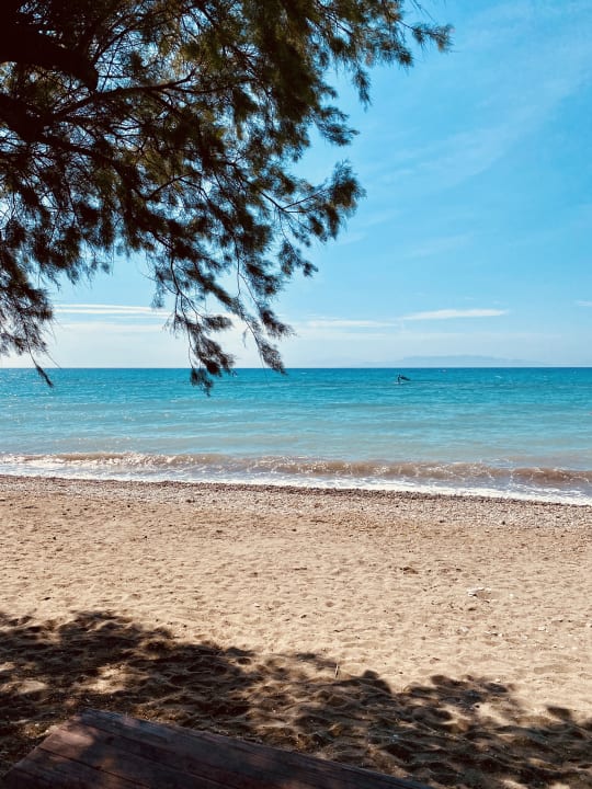 Strand TUI KIDS CLUB Alex Beach