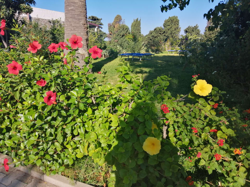 Gartenanlage Aldiana Club Rocca Nettuno Calabria
