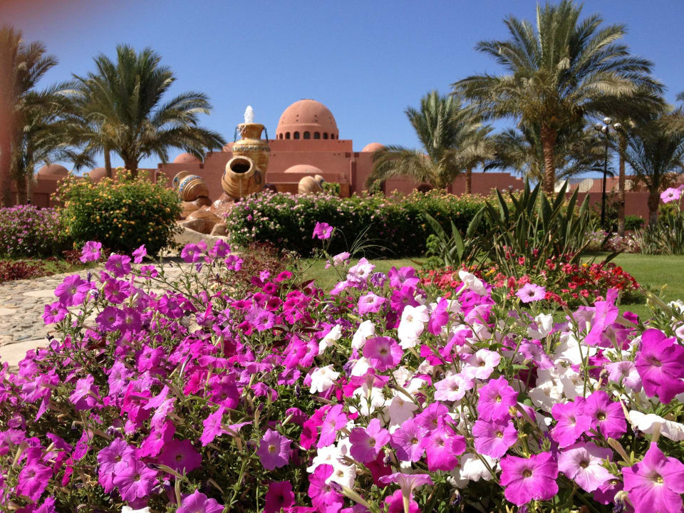 Blütenpracht am Haupteingang Swisstouch Oriental Resort Marsa Alam