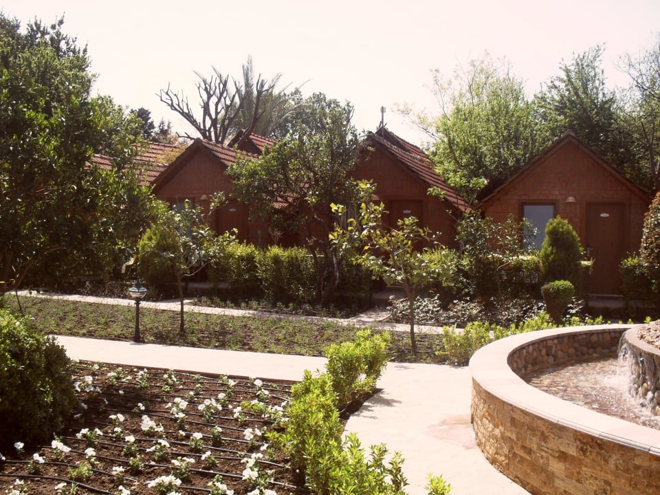 Gepflegter Garten Can Garden Beach