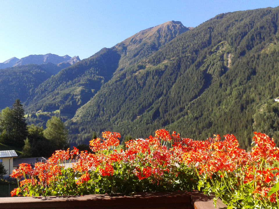 Ausblick Apartments Haus Hackl