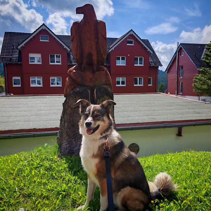 Sonstiges Apartments Chalet Sonnenhang