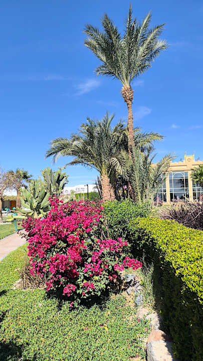 Sonstiges Shams Safaga Resort
