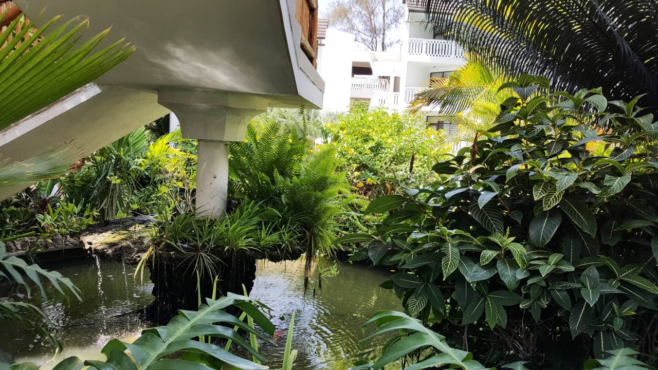 Gartenanlage Hotel Traveller's Club