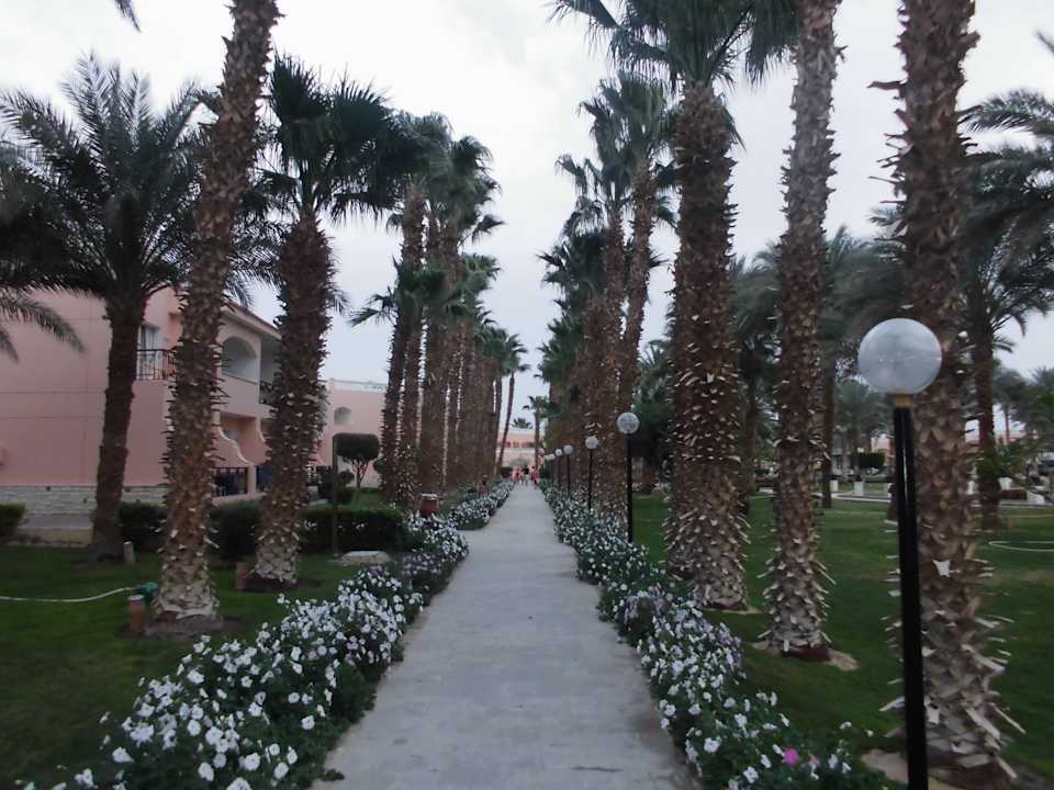 Weg vom Nebengebäude zum Haupthaus Beach Albatros Resort