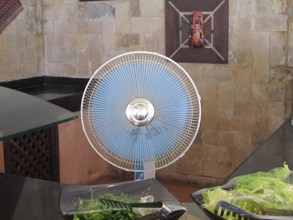 Ventilator zum vertreiben der Fliegen Neptune Village Beach Resort & Spa