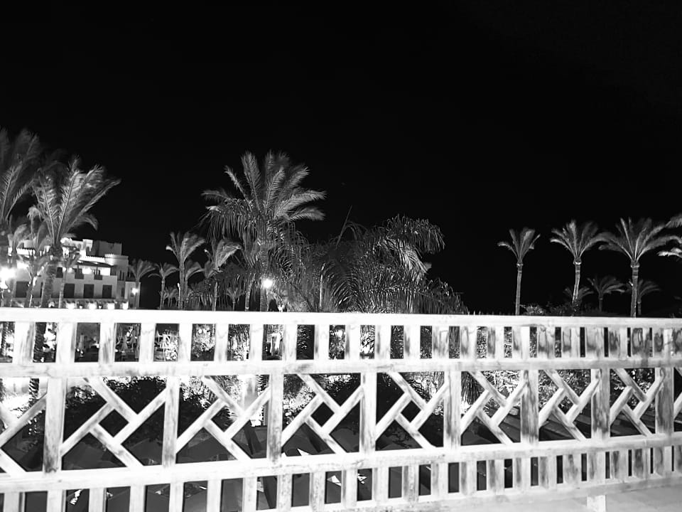 Lobby Makadi Spa - Adults only