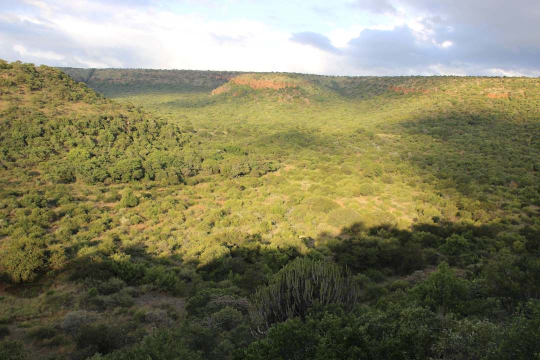 Blick vom Bungalow Hotel Iketla Lodge
