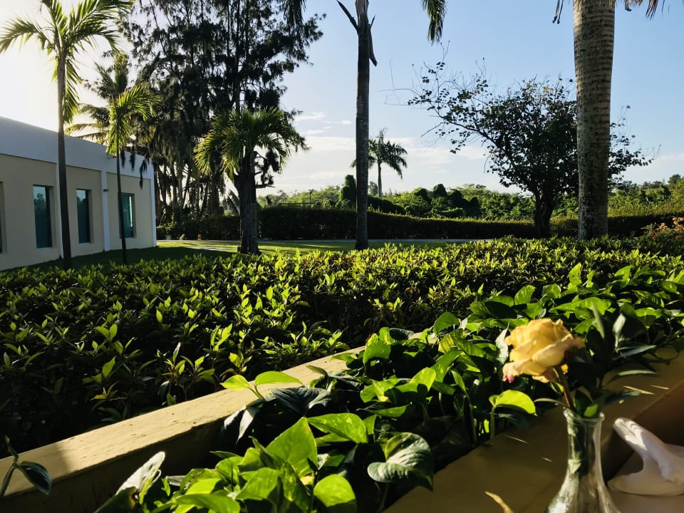 Außenansicht Iberostar Waves Costa Dorada