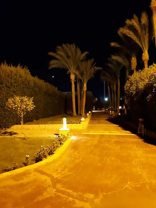 Ausblick Pickalbatros Alf Leila Wa Leila Resort - Neverland Hurghada