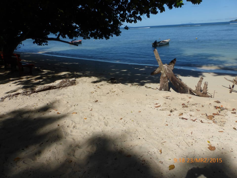 Kleiner Strand vor dem Hotel Hotel Paradise Flycatchers