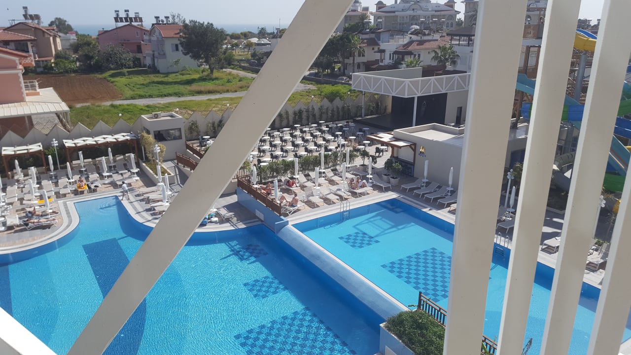 Zimmer Seashell Vega