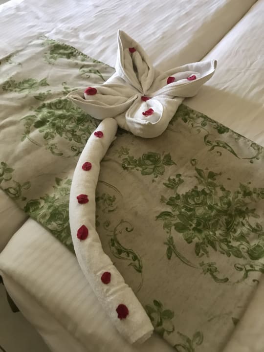 Zimmer Ghazala Gardens