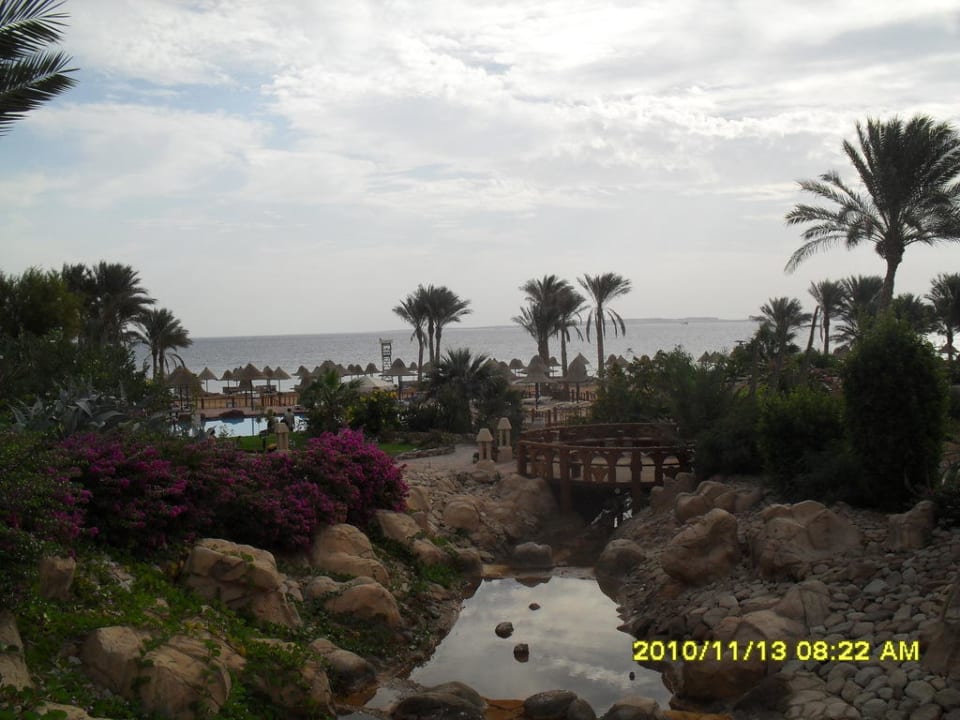 Ausblick in Richtung Meer Parrotel Beach Resort