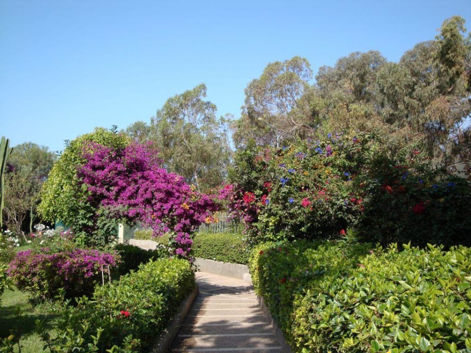 Hotelgarten Best Western Odyssee Park Hotel