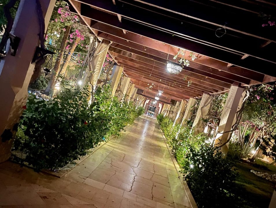 Gartenanlage ROBINSON SOMA BAY