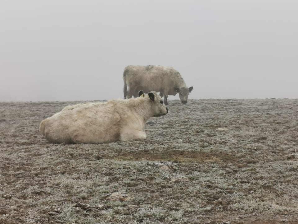 Sport & Freizeit Hotel Reiters Supreme