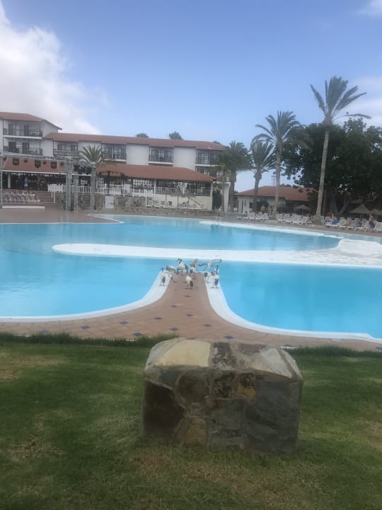 Pool Aldiana Club Fuerteventura