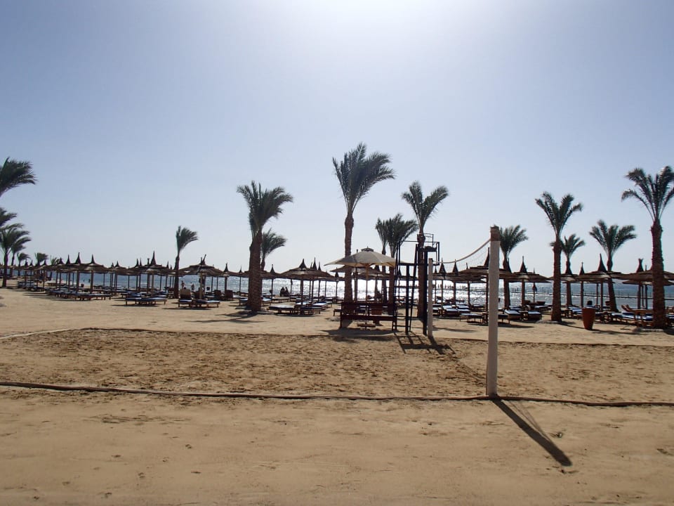 Strand - Beachvolleyball Feld Pickalbatros Palace Resort