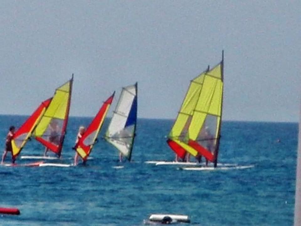 Windsurfer Hotel Miramare Beach