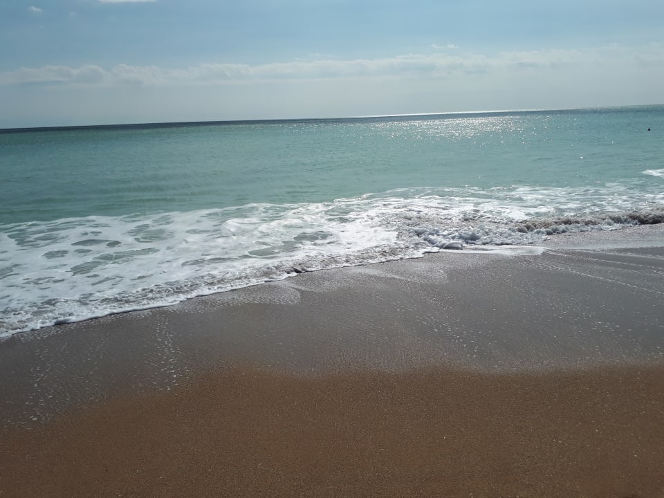 Strand Sentido Marea