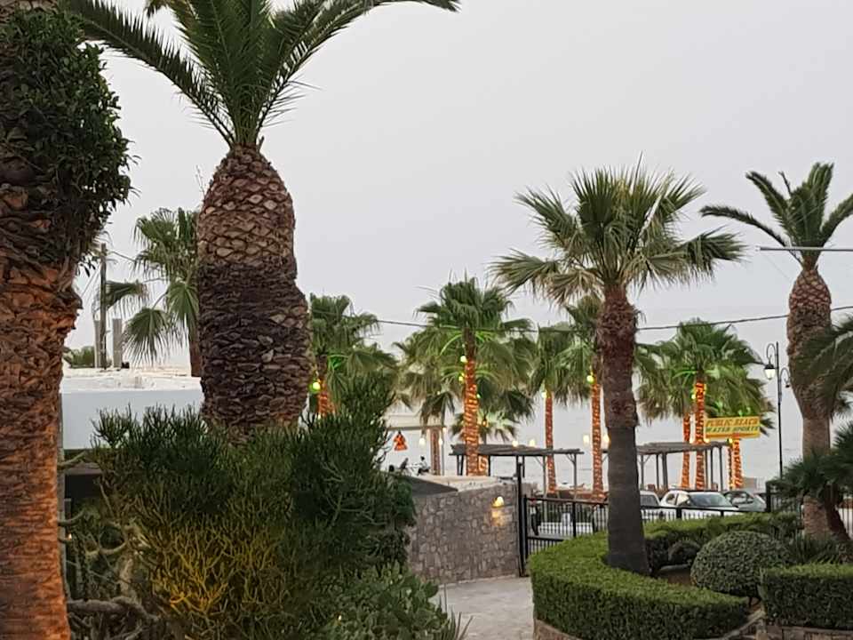 Gartenanlage allsun Hotel Malia Beach