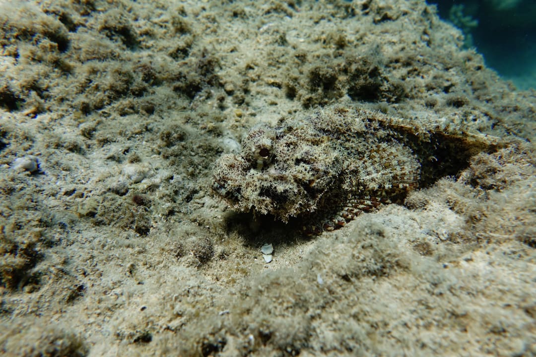 Sport & Freizeit Lahami Bay Beach Resort