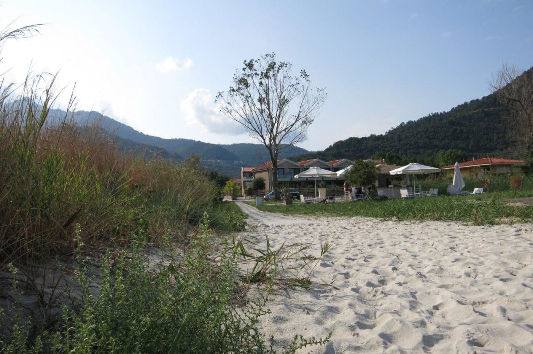 Blick auf Anlage Alexandra Golden Boutique - Adults only