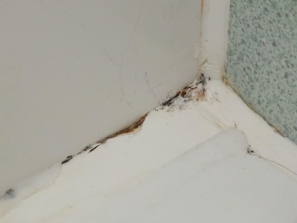 Schimmel Hotel Holiday Inn London Wembley