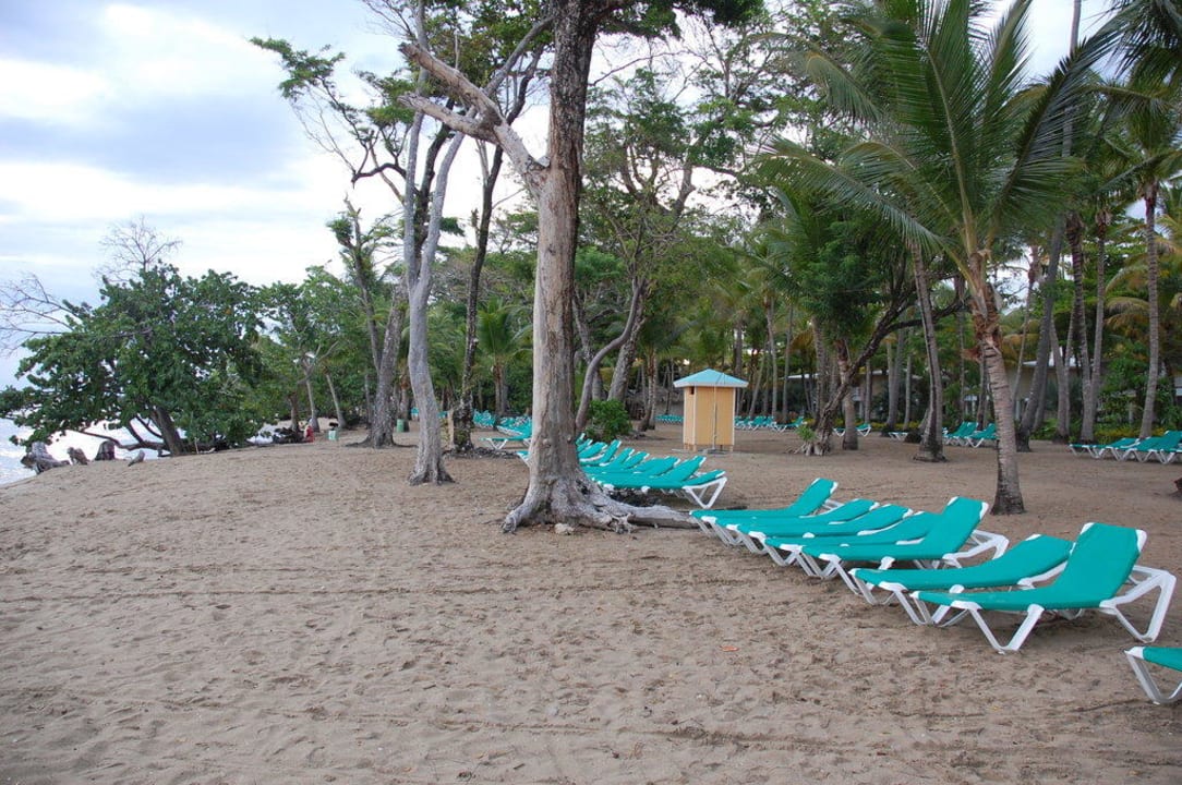 Liegen am Strand Playabachata Hotel