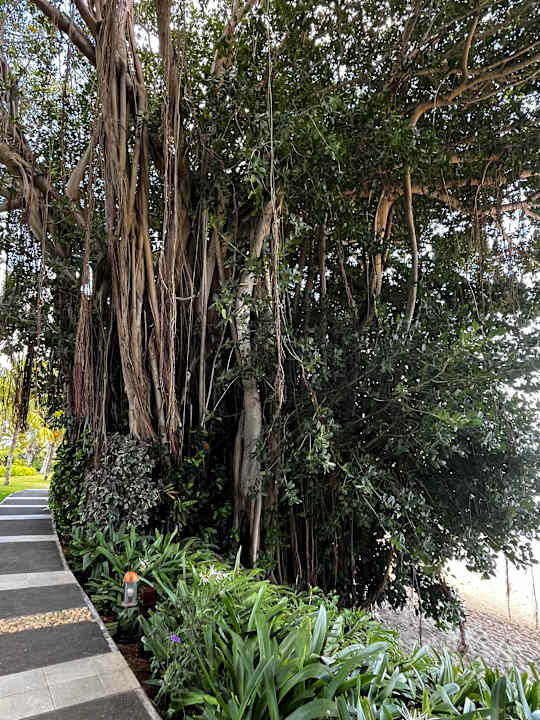Gartenanlage Maritim Resort & Spa Mauritius
