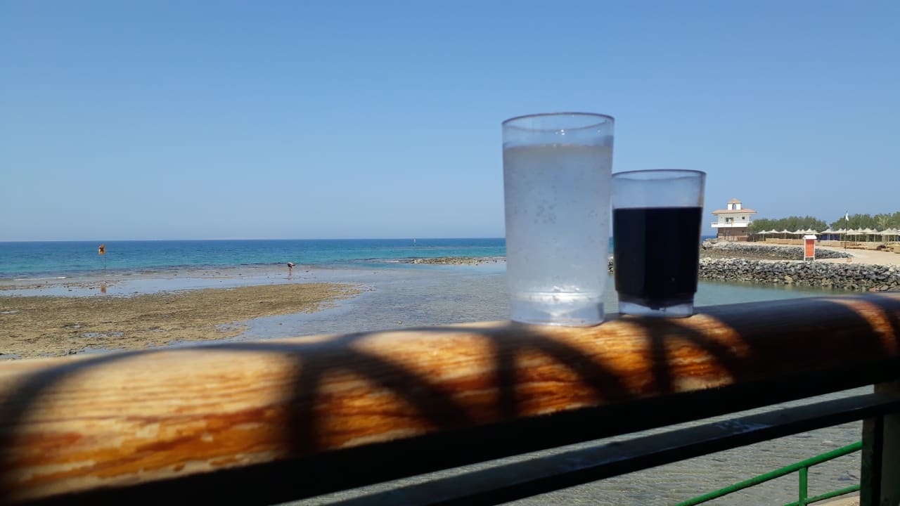 Ausblick Desert Rose