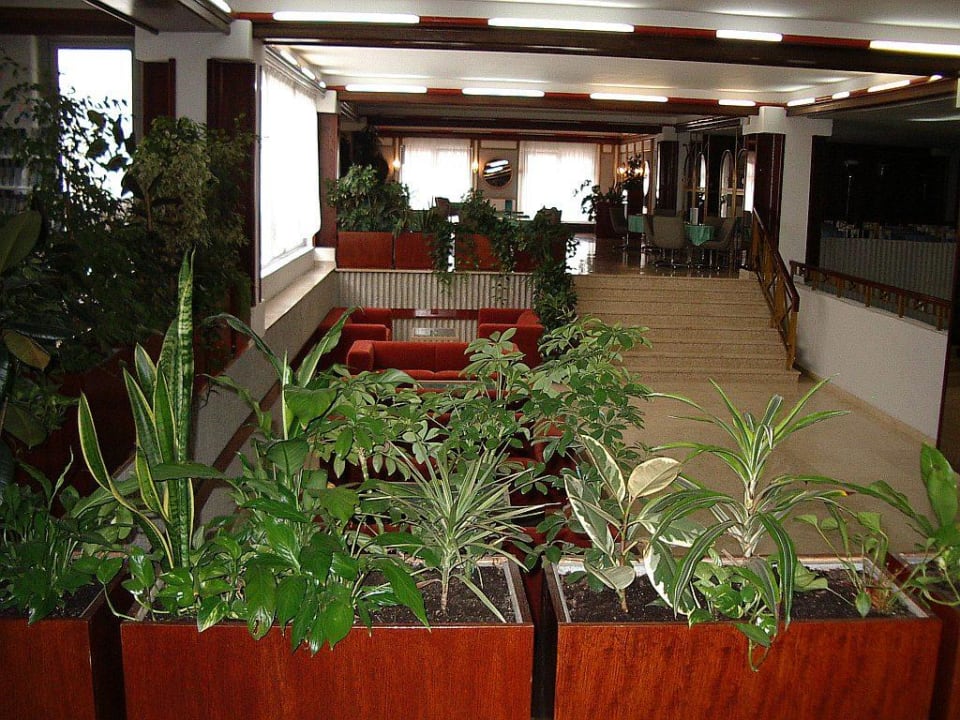 Ein Blick durch das Foyer Rubin Hotel