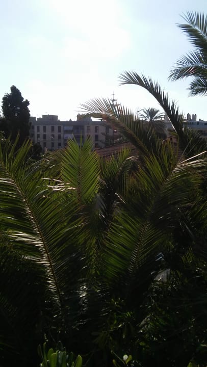 Ausblick Lago Garden