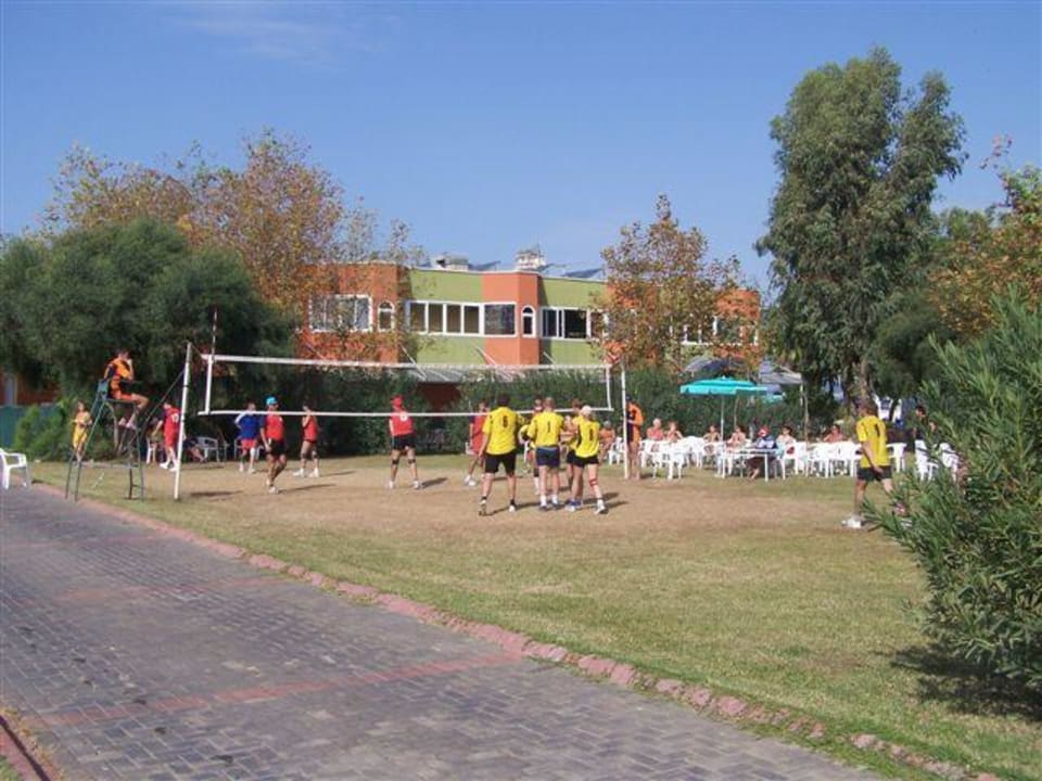 Siatkówka Lonicera Resort & Spa Hotel