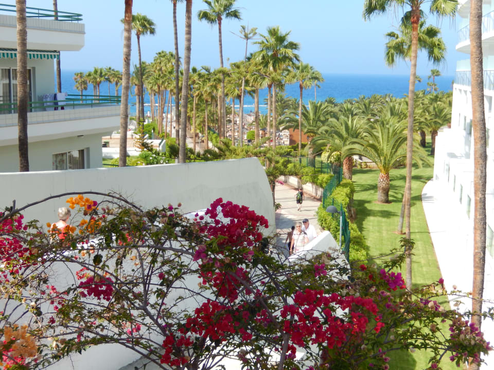 Ausblick Hotel Riu Arecas - Adults only
