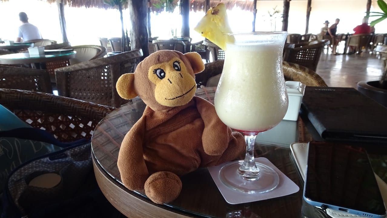 Gastro Akumal Bay Beach & Wellness Resort