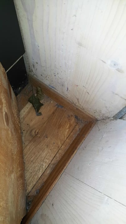 Zimmer Baumhotel Auszeit