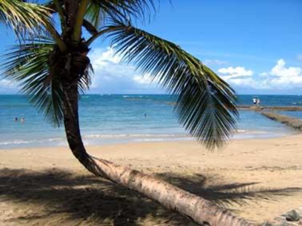 Beach Grand Paradise Playa Dorada