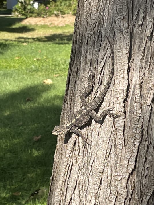 Sonstiges Labranda Alantur Resort