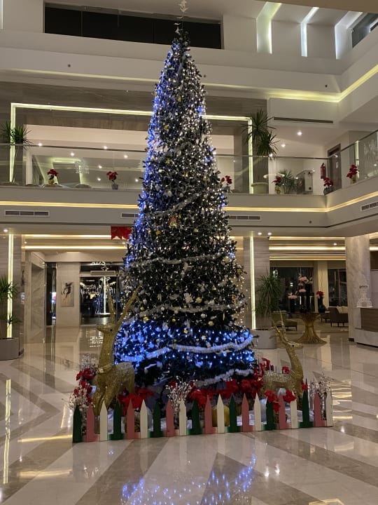 Lobby Amarina Abu Soma Resort & Aquapark