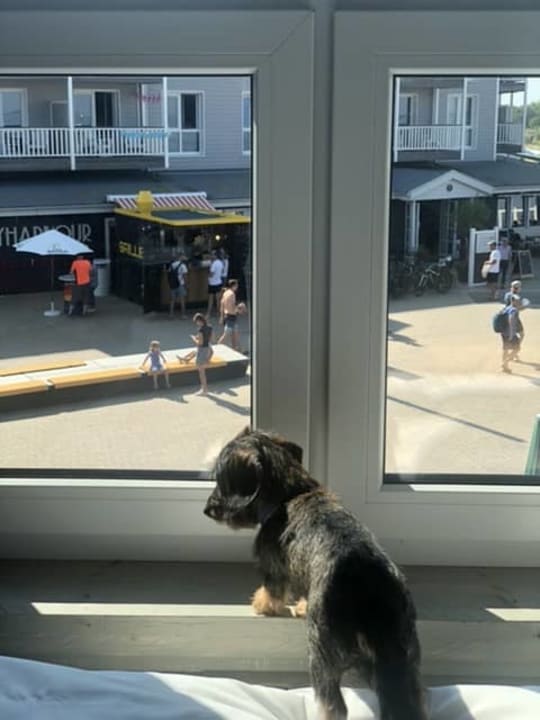 Zimmer Bretterbude Heiligenhafen