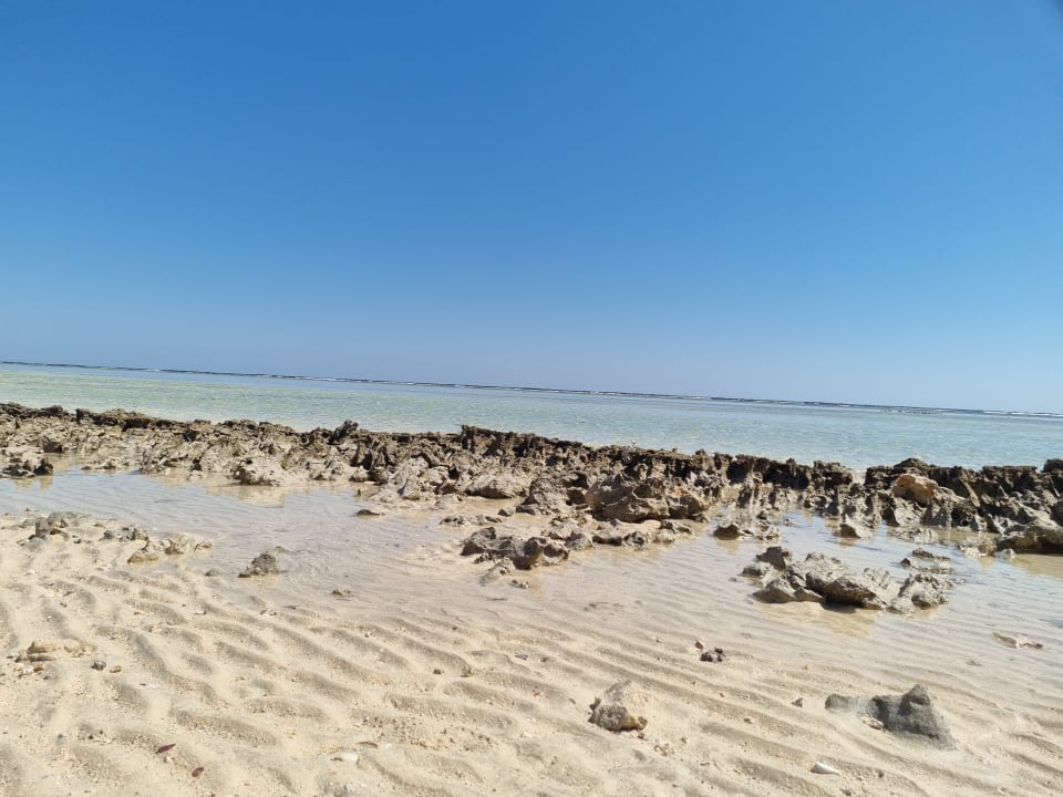 Strand Hotel Gorgonia Beach Resort