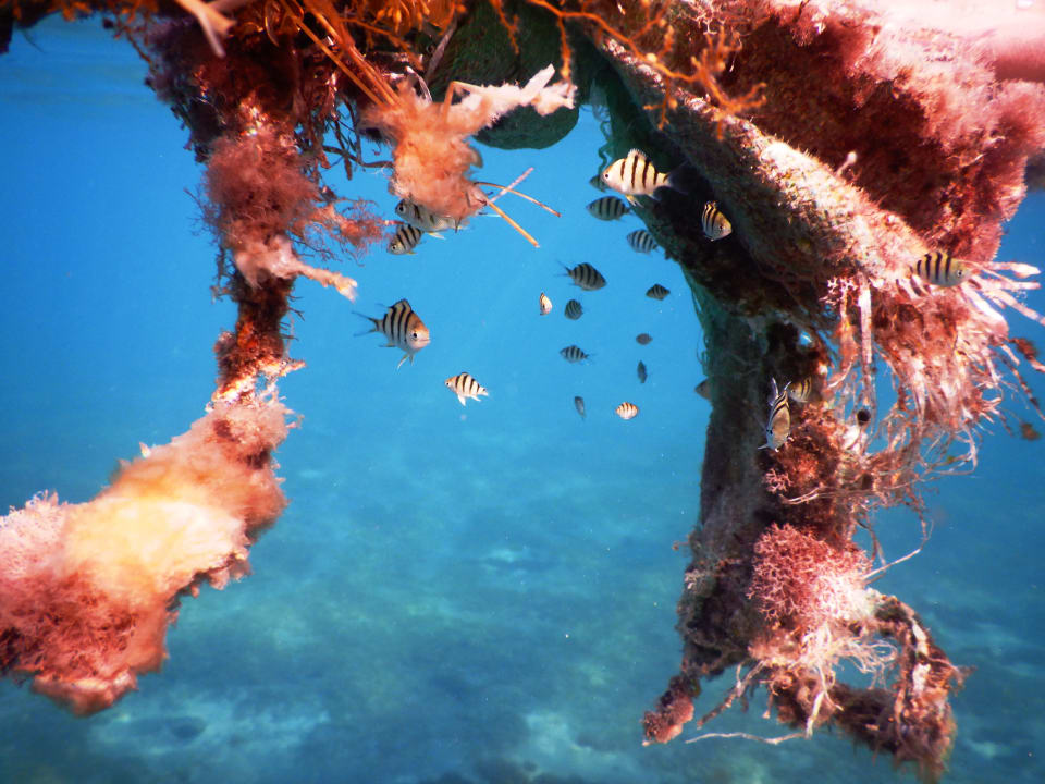 Sport & Freizeit Shams Alam Beach Resort