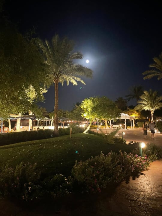 Ausblick Desert Rose