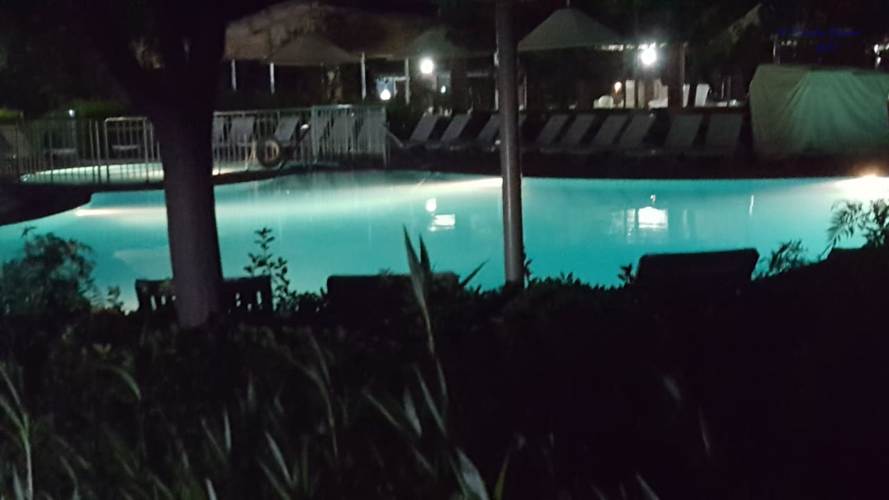 Pool Can Garden Beach